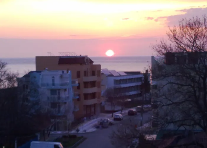 North 2* プリモルスコ